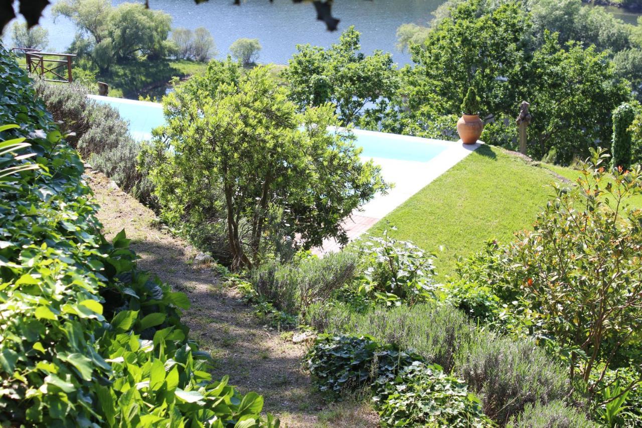 Villa "Bouca Drigues" Casa Antiga De Pedra Com Piscina E Vista Rio à Amarante Extérieur photo