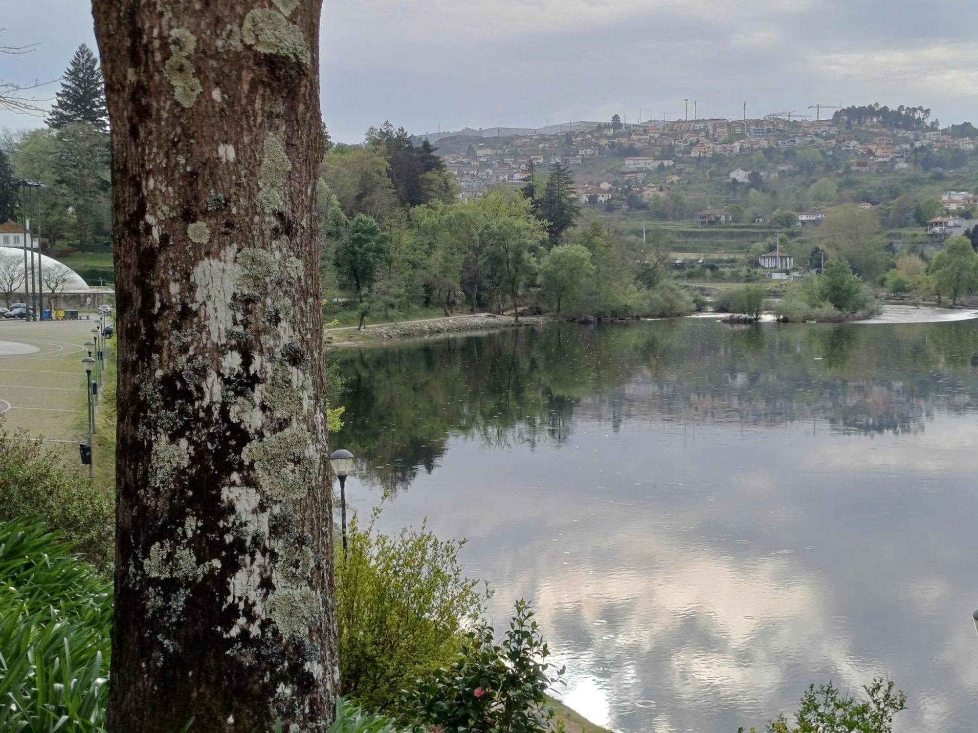 Villa "Bouca Drigues" Casa Antiga De Pedra Com Piscina E Vista Rio à Amarante Extérieur photo