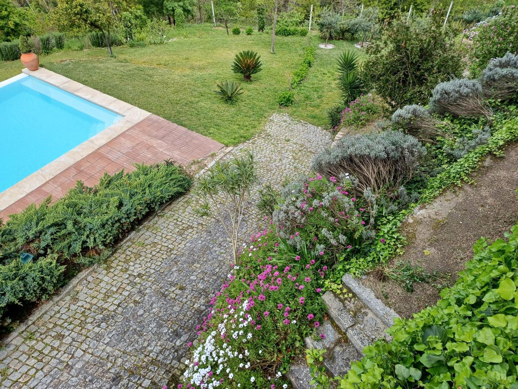Villa "Bouca Drigues" Casa Antiga De Pedra Com Piscina E Vista Rio à Amarante Extérieur photo